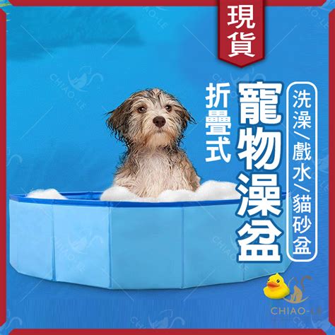 台南 寵物 洗澡